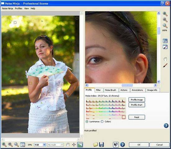 1242004375 noiseninja 10 Plugin làm mịn ảnh hay nhất cho Photoshop