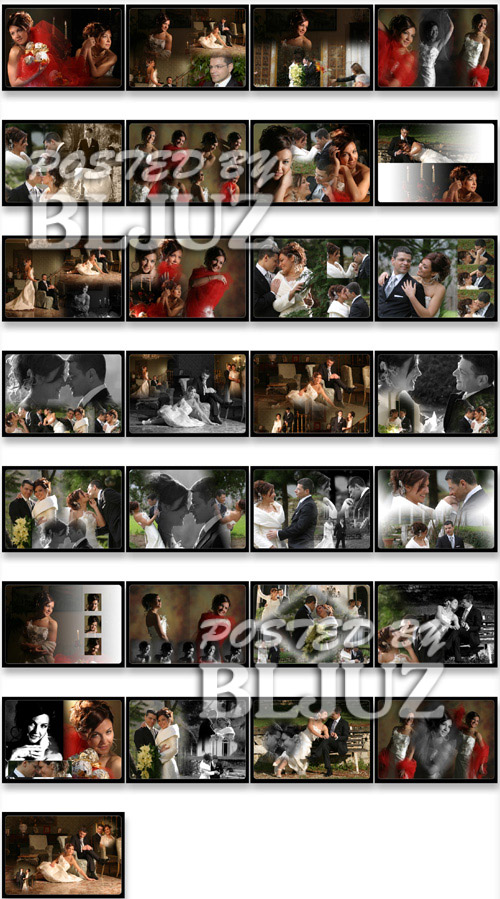 Creative Album Vol. 12