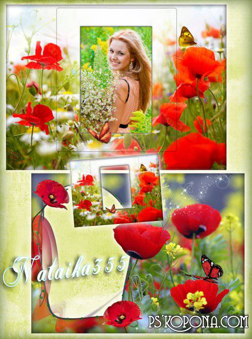 Framework for a photo - The scarlet sea of poppies