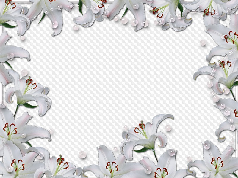 Цветок Фотошоп Для Фотографий
