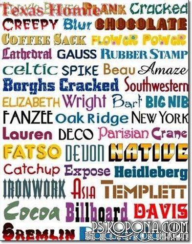 1000 Font Collections 1000 Font Collections