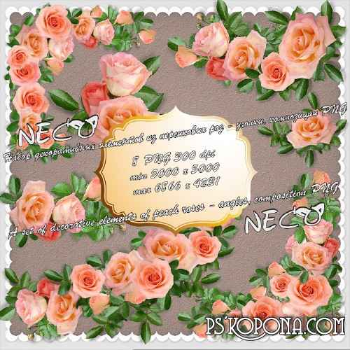 8 PNG, peach roses, corners, compositions, decorative elements on a transparent background