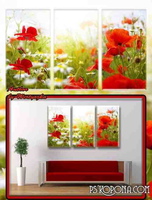 Red poppies and wildflowers - Triptych in psd format