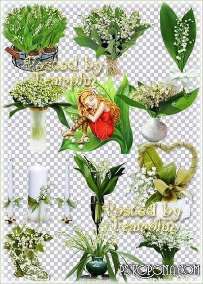 Lilies of the valley – Spring clipart on a transparent background