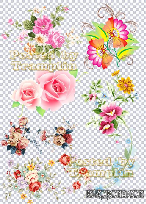 Clipart on a transparent background – Florets
