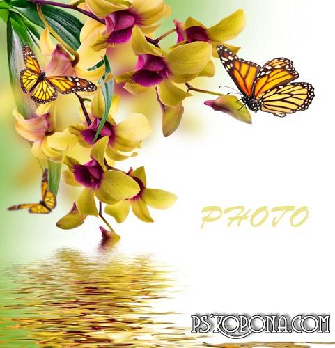 Frame for the photo - Gentle touch of spring Frame for the photo - Gentle touch of spring