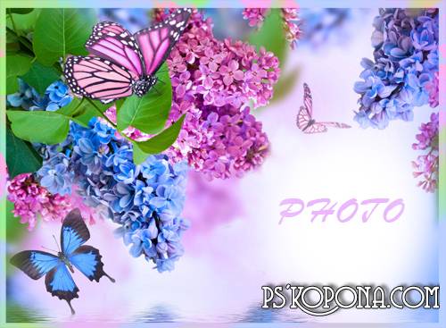 Frame for the photo - Gentle aroma of a lilac Frame for the photo - Gentle aroma of a lilac
