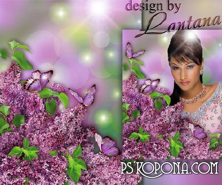 PSD source - Lilacs and butterflies