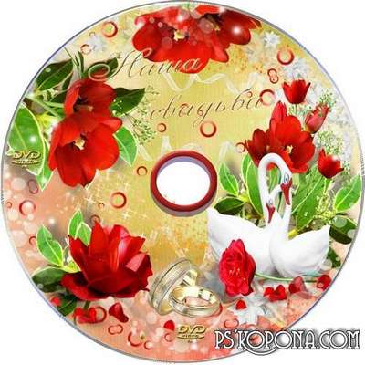Cover and blowing-to DVD with rings and swans - Today you married Cover and blowing-to DVD with rings and swans - Today you married