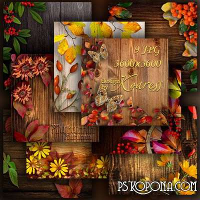 Set of autumn backgrounds for Photoshop with wood, flowers, leaves and berries