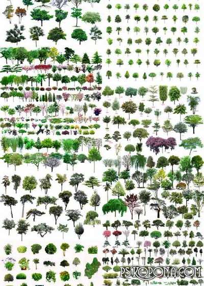 PNG Trees free download » Страница 2