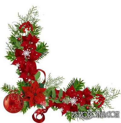 Flowers png of Christmas - Christmas png decorations on a transparent background Flowers png of Christmas - Christmas png decorations on a transparent background