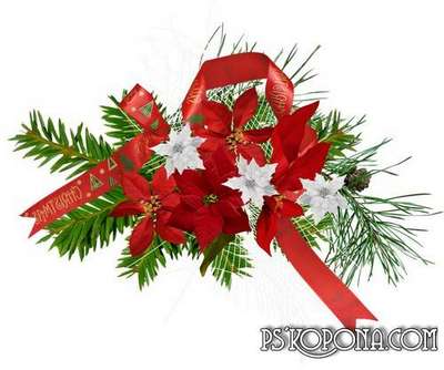 Flowers png of Christmas - Christmas png decorations on a transparent background Flowers png of Christmas - Christmas png decorations on a transparent background