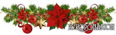 Flowers png of Christmas - Christmas png decorations on a transparent background Flowers png of Christmas - Christmas png decorations on a transparent background