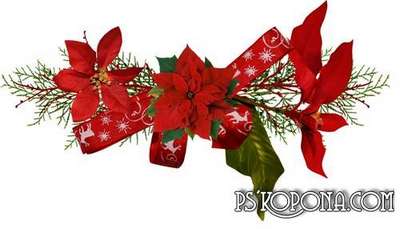 Flowers png of Christmas - Christmas png decorations on a transparent background Flowers png of Christmas - Christmas png decorations on a transparent background