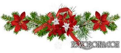 Flowers png of Christmas - Christmas png decorations on a transparent background Flowers png of Christmas - Christmas png decorations on a transparent background