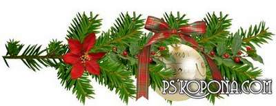 Flowers png of Christmas - Christmas png decorations on a transparent background Flowers png of Christmas - Christmas png decorations on a transparent background
