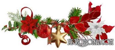 Flowers png of Christmas - Christmas png decorations on a transparent background Flowers png of Christmas - Christmas png decorations on a transparent background