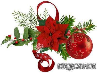 Flowers png of Christmas - Christmas png decorations on a transparent background Flowers png of Christmas - Christmas png decorations on a transparent background