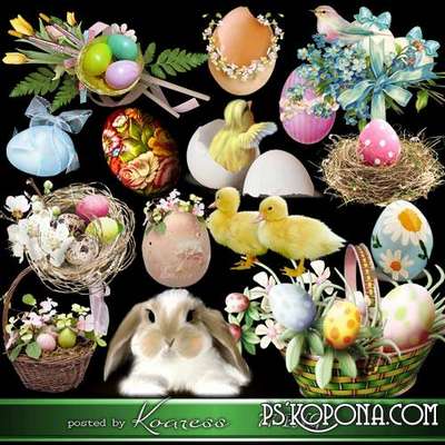 Easter eggs, rabbits, flowers, PNG images