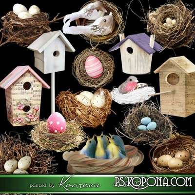 41 PNG, Bird nest, birdhouse