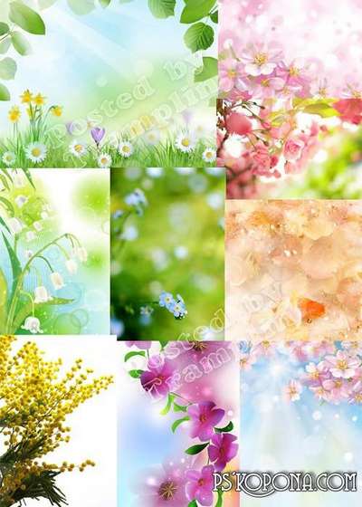 Spring, Backgrounds, for Adobe Photoshop