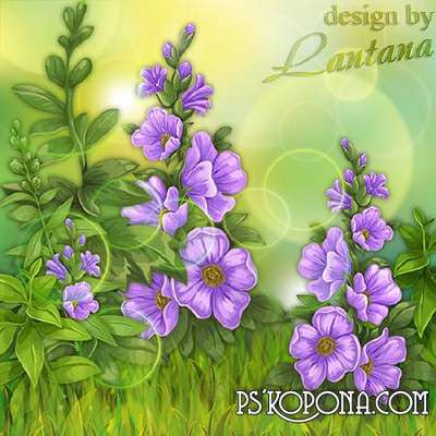 PSD source - Spring flowers forest, mysterious blue PSD source - Spring flowers forest, mysterious blue