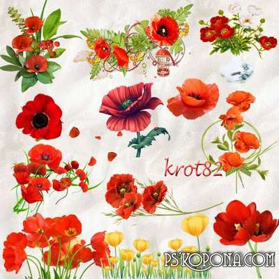 flowers png graphics and clusters - Bouquet of poppies png