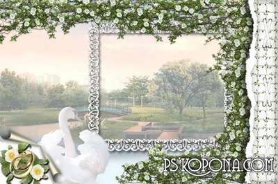 Framework for a photo-wedding album template Framework for a photo-wedding album template