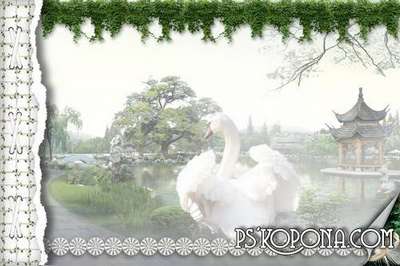Framework for a photo-wedding album template Framework for a photo-wedding album template