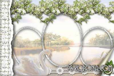 Framework for a photo-wedding album template Framework for a photo-wedding album template