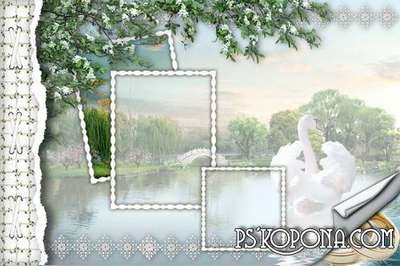 Framework for a photo-wedding album template Framework for a photo-wedding album template