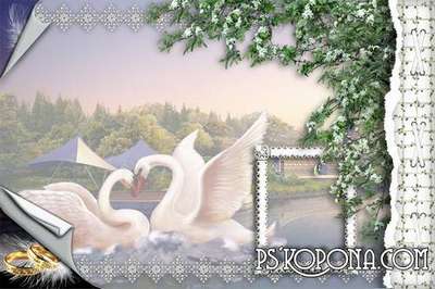 Framework for a photo-wedding album template Framework for a photo-wedding album template