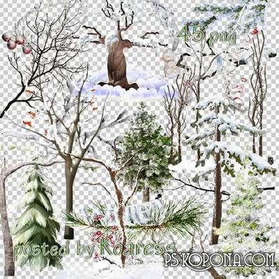 45 PNG, Clipart Trees, tree branches, in winter and in snow