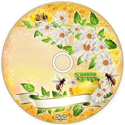 Free DVD cover template and disk for DVD. Frame for photo. Our honeymoon