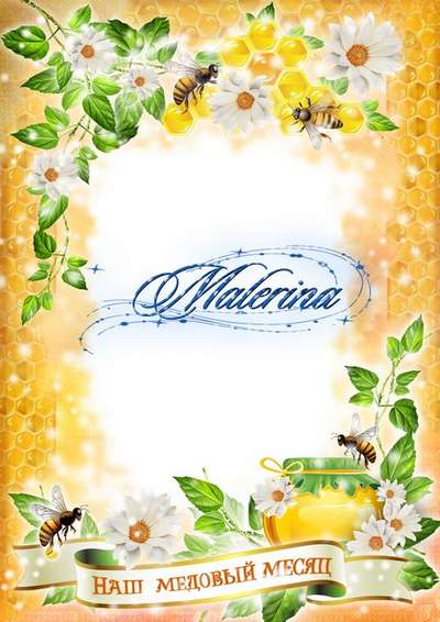 Free DVD cover template and disk for DVD. Frame for photo. Our honeymoon