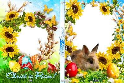 Bright festive set of covers and blowing on a DVD - Easter Bunny