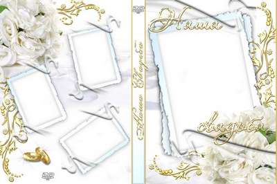 Free Wedding cover DVD and blowing for disk - wonderful wedding