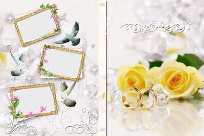 Free Wedding cover for DVD, blowing-on disk - We wish happiness! Free Wedding cover for DVD, blowing-on disk - We wish happiness!