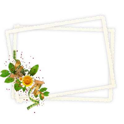 Free 4 frame png