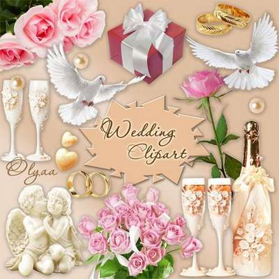 16 PNG, Wedding angels, glasses, champagne, flowers, frames, bows, rings, on transparent background