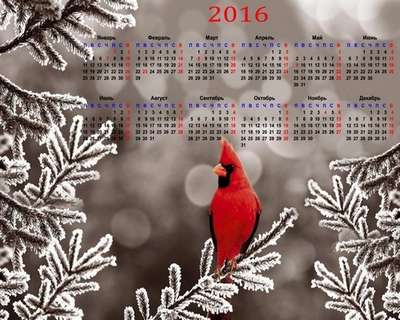 2016 calendar template psd with a beautiful bird 2016 calendar template psd with a beautiful bird