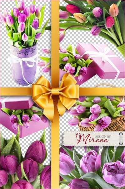 7 PNG, Pink Tulips, images with transparent background