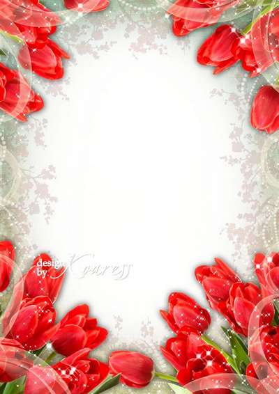 Greeting photoframe with red tulips for Photoshop for March 8 - Womens Day Greeting photoframe with red tulips for Photoshop for March 8 - Womens Day