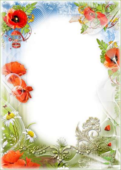 Frame with flowers - Camomiles, poppies blossom on a meadow and smell Frame with flowers - Camomiles, poppies blossom on a meadow and smell