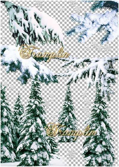 snowball