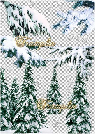 20 PNG, Trees in snow, Fir tree, pine tree in winter in snow, PNG images with transparent background