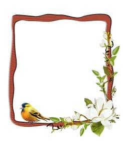 Wooden 4 PNG photo frames-cutouts with flowers for photoshop Wooden 4 PNG photo frames-cutouts with flowers for photoshop