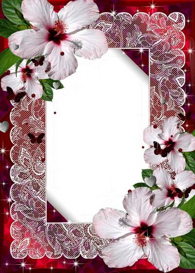 Photo Frame - hibiscus flowers