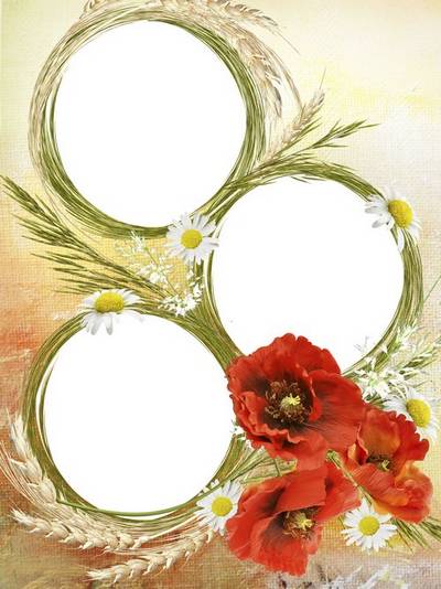 PSD Frame for three photos with poppies, daisies and ears of wheat wheat PSD Frame for three photos with poppies, daisies and ears of wheat wheat